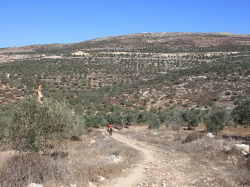 Since the occupation began in 1967 and the development of illegal settlements within Palestine it has been converted from a joyous occasion to one of fear, intimidation and stress.